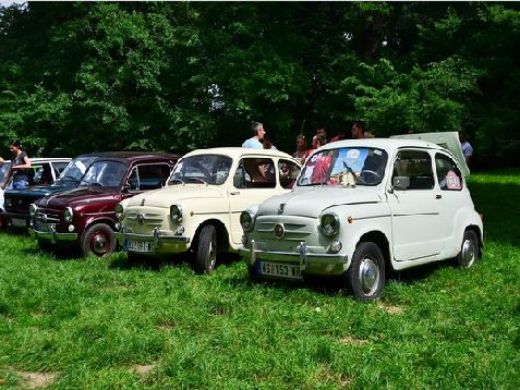 Zastava-Fan-Club-06