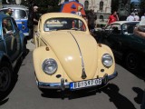 Bube služe da se druže 2013