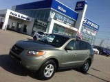 Hyundai Santa Fe ima problem sa poluosovinom