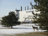 Subaru objavio prodajne rezultate
