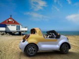 Smart ForSea