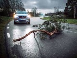 Kamioni i automobili Volvo uvode povezanu bezbednost