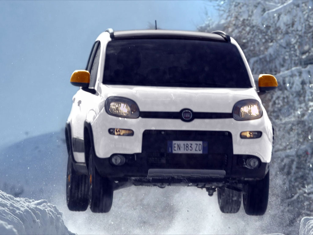 Panda 4x4 Antarctica